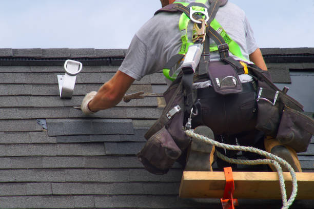 Best Green or Eco-Friendly Roofing Solutions  in Federal Y, WA